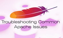 Apache2.4配置文件详解(1)-常用配置指令