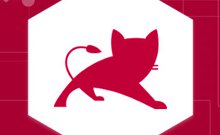 Tomcat配置 https SSL证书